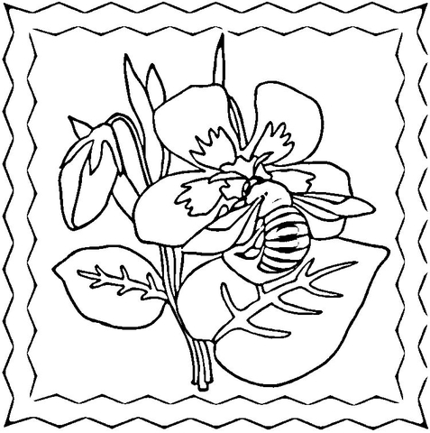 Bee On The Violets  Coloring Page